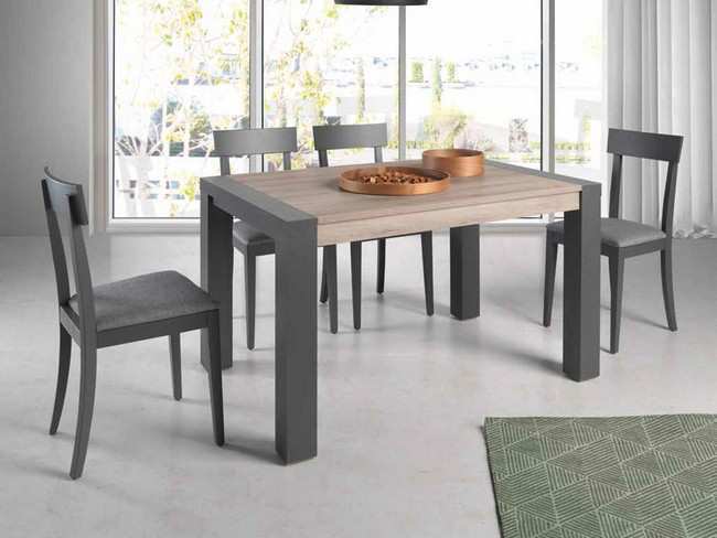 Modelo forma rectangular extensible 2 aperturas 40cm PND-27622 - Imagen 1