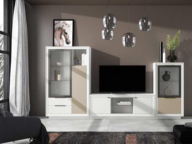 CONEXION-22 Moderno salon con singular puerta puerta cristal cajones - modulo bajo puertas y huecos - singular puerta y puerta cristal - color nieve piedra grafit