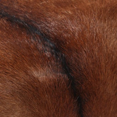 VidaXL Banco de retales Patchwork cuero auténtico cabra marrón 160 cm
