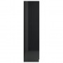Armario de aglomerado negro con brillo 90x52x200 cm