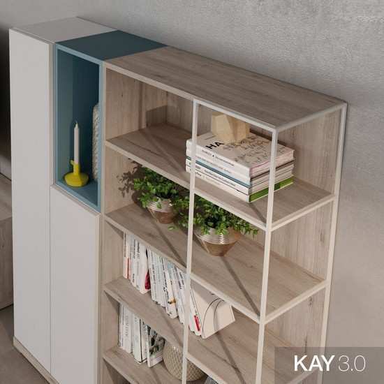 Módulo de salón moderno con estantes y puertas elegantes